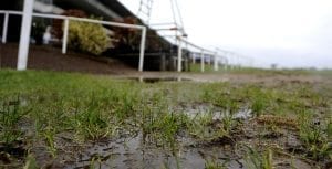 Wet track