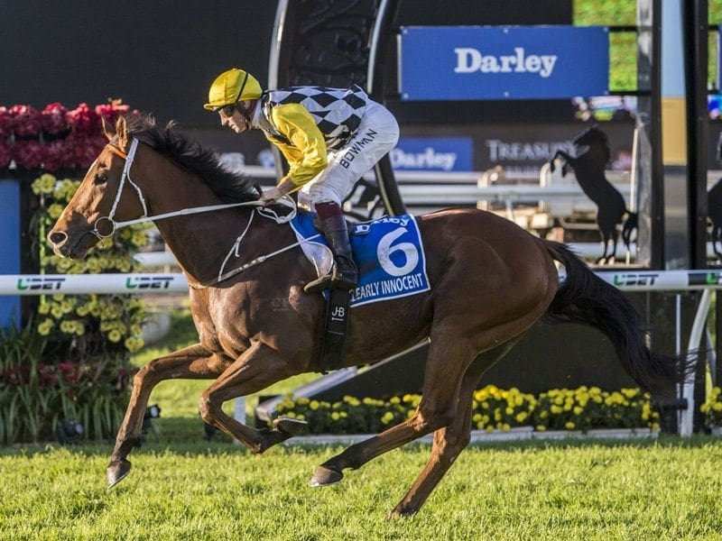 Clearly Innocent during the Darley Kingsford Smith Cup Day