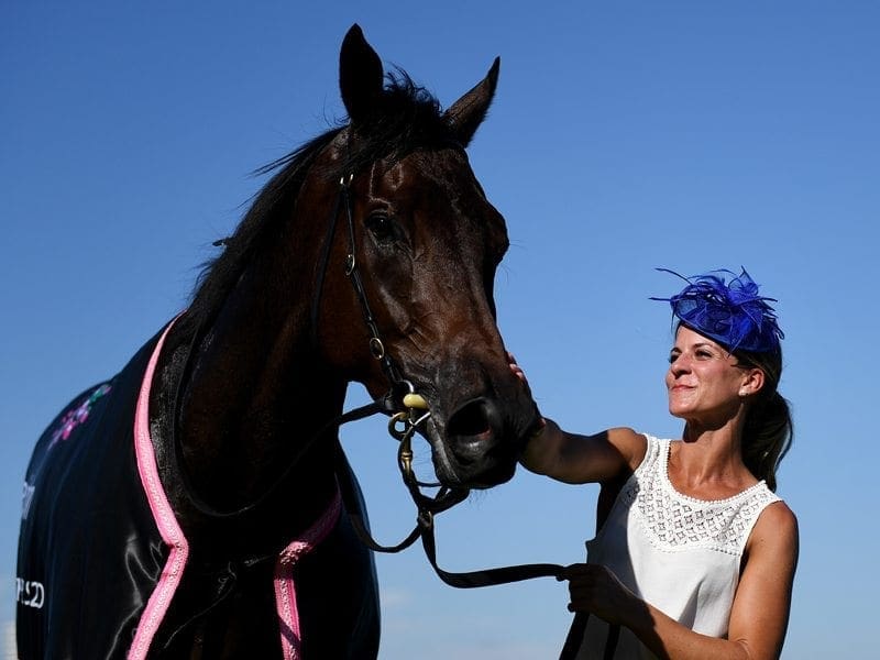 A strapper kisses Hey Doc after winning the Australian Guineas