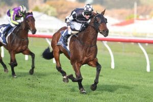 Justaskme claims Listed success at Wanganui