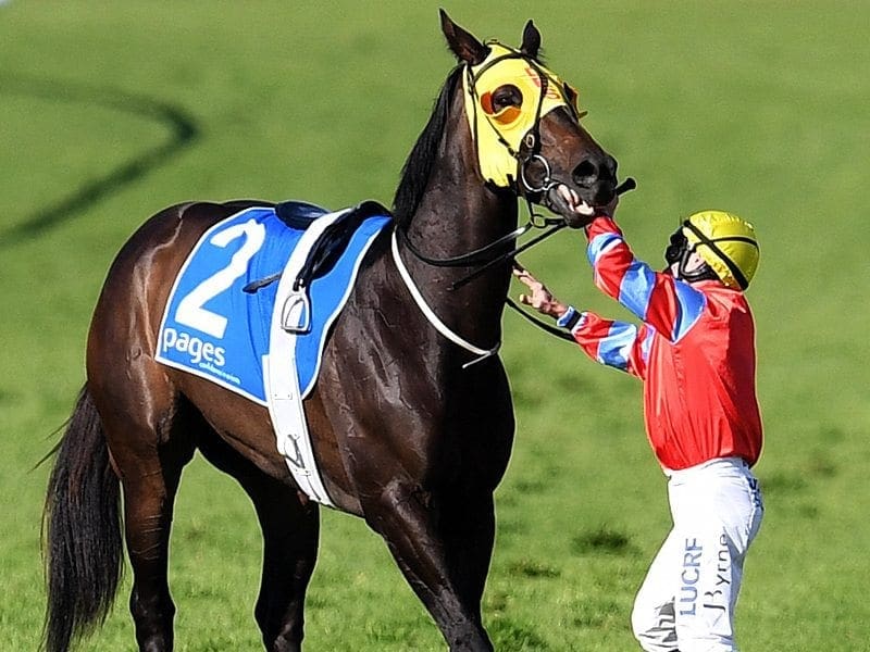 Cylinder Beach with Jockey Jim Byrne