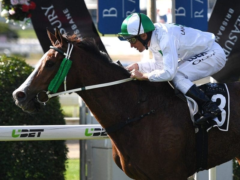 Damien Oliver riding Payroll