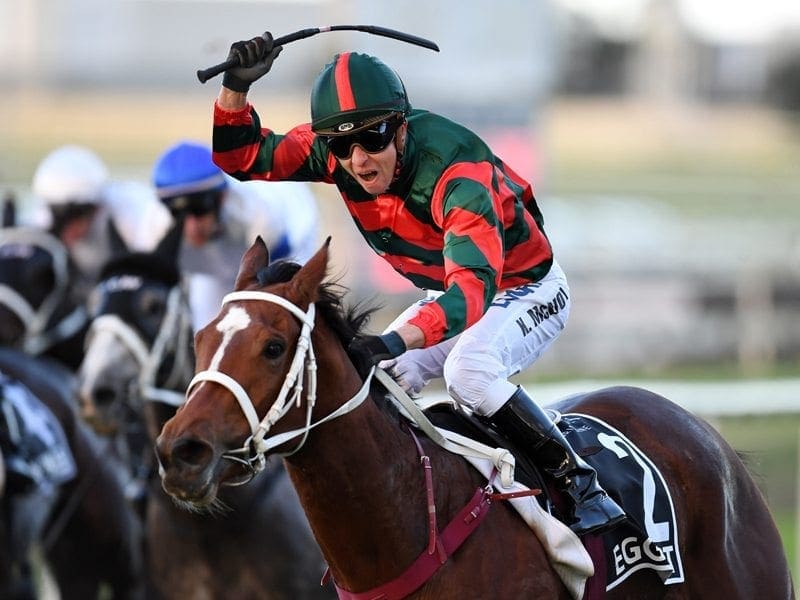 Jockey Kerrin McEvoy celebrates riding Egg Tart