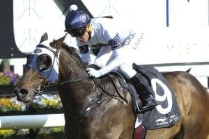 Fairytale finish for Cummings at Doomben