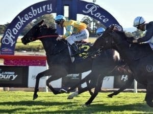 Shazee Lee wins at Hawkesbury