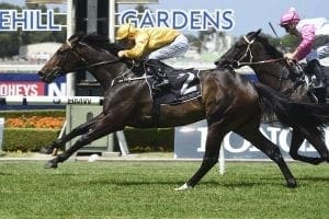 Girl Sunday in black-type bid at Rosehill