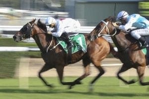 Deploy Stradbroke Handicap