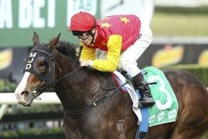 Caulfield race next for Canberra filly