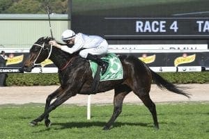 Conniving conjures Highway Handicap win