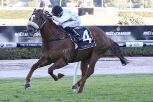 Lane shows who's boss at Randwick