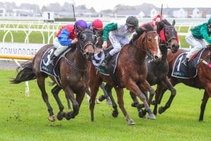 Arctic Glow impresses at Riccarton