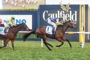 Weight no burden for Ashlor at Caulfield