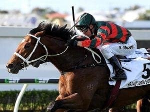 Atkins gives Waller another G1 quinella