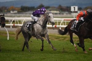 Peter Lock chasing wet tracks at Pukekohe