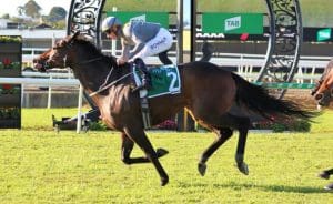 Baller picks up consecutive Moreton Cup victories