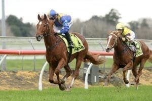 Melbourne spring beckons Botti