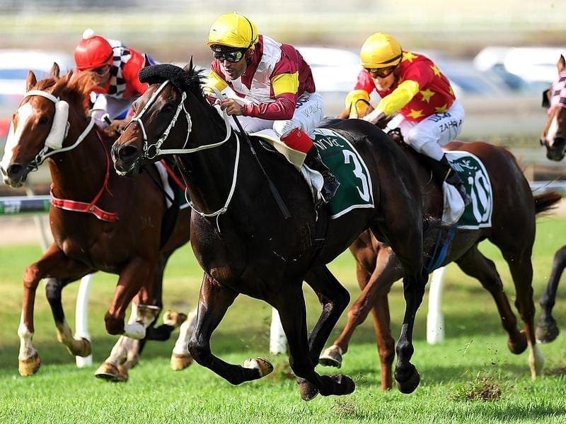 Jockey Michael Walker rides Sambro to victory in race 3 at Doomben