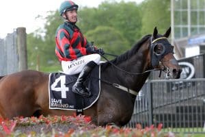 Dragon Leap thriving ahead of Wayne Wilson