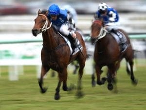 Third Brisbane Cup winner for Damien Oliver