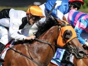 Breeding tells in upset Eagle Farm win