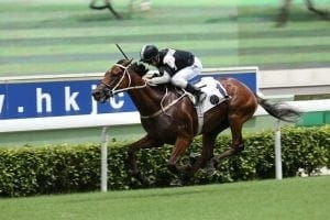 Exultant impresses with resolute Premier Plate triumph