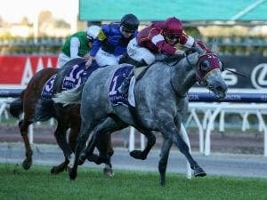 Blazejowski answers question at Flemington