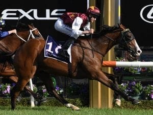 No Brisbane flight for Streets Of Avalon