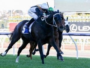 Chouxting The Mob impresses at Flemington