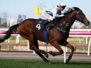 Choysa runs rivals ragged at Flemington