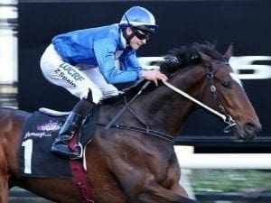 Spain gets Flemington winner for Price