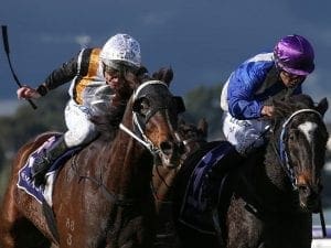 Chouxting The Mob wins again at Flemington