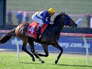 Scottish aims for hat-trick at Flemington