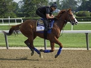 Justify ready for run at Triple Crown