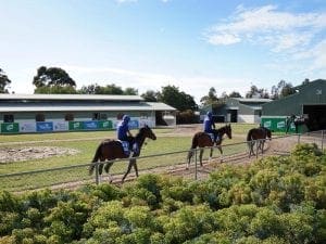 Werribee quarantine