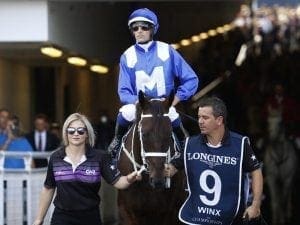 July return to Sydney racing for Bowman