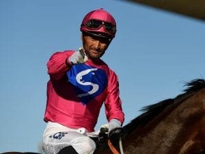 Jockey Corey Brown has successful surgery