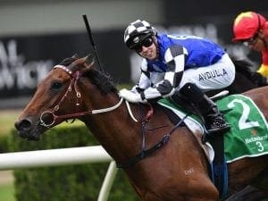 Big Duke heads Caloundra Cup nominations