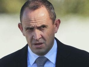 Chris Waller