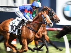 Single Gaze joins Chris Waller stable