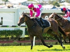 Upgrade push for Sunshine Coast Guineas