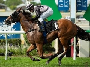 Houtzen continues Royal Ascot build-up