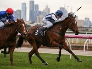 Apprentice Kersley embracing Melbourne