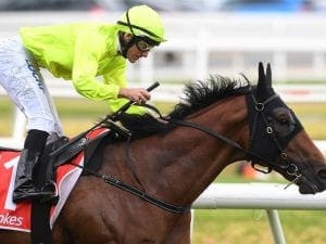 Manuel to miss Stradbroke Handicap