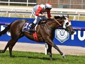 Mystic Journey pleasing in spring build-up