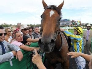 NSW Crowds