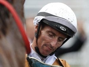 Nash Rawiller back riding trackwork