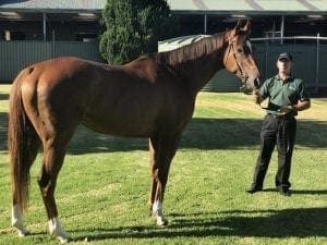 Redkirk Warrior arrives in England