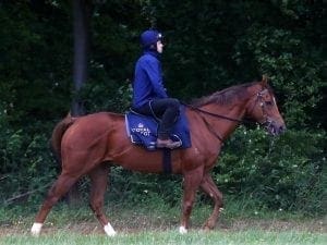 Faultless Royal Ascot lead-up for Warrior