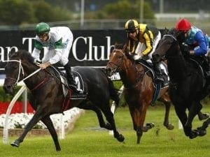 Seaway for Sunshine Coast Guineas