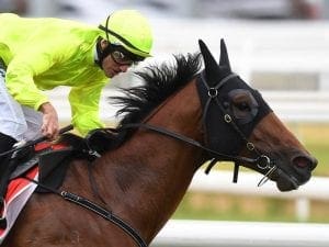 Owner's colours on display in Brisbane